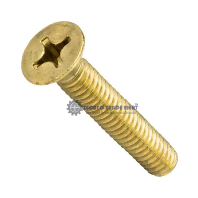 Ms Csk Phillips Machine Screws Pack of 100 piece